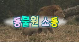 한글기차 치포 - 동물원 소동 2